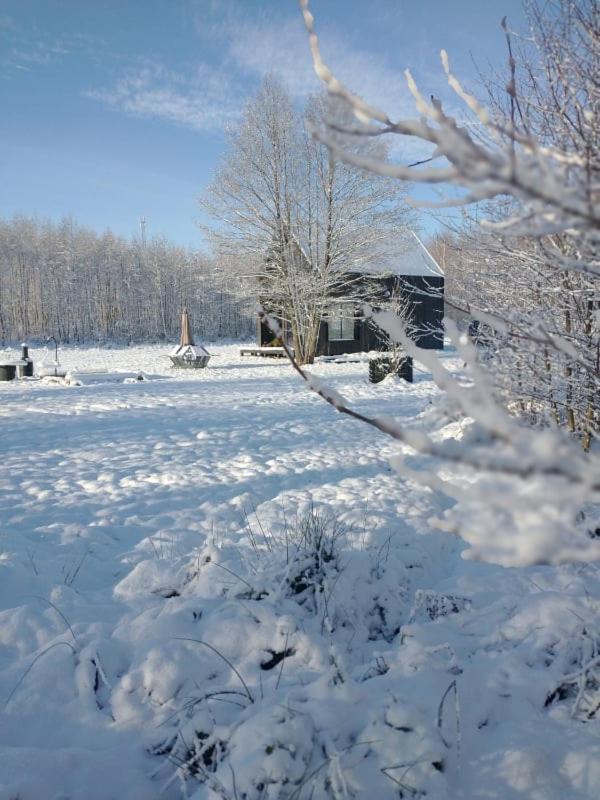 Miedzy Olchami Domek Nad Jeziorem. Noclegi Caloroczne. Cisza, Spokoj. Barczewo Exterior foto